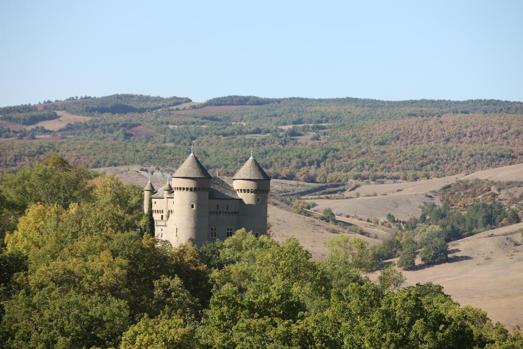 Chateau de Lugagnac Rivière-sur-Tarn Exterior foto